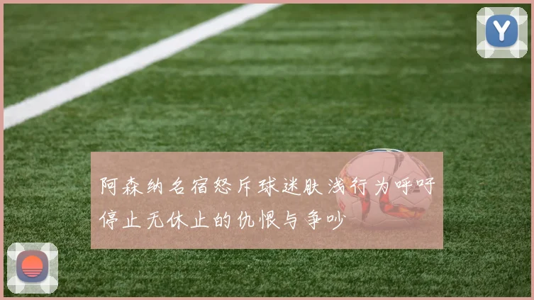 阿森纳名宿怒斥球迷肤浅行为呼吁停止无休止的仇恨与争吵